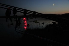 S kvalitní pletenkou máte vždy dokonalý přehled o průběhu záběru na jakoukoliv vzdálenost. foto-11-nahled