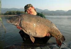 Stará jikernačka o váze 22,5kg chycená s pomocí šňůry za potopenými stromy. foto-5-nahled
