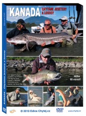 DVD Kanada - Chytáme jesetery a lososy