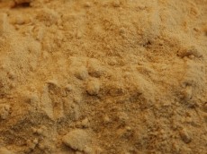 Enzym Squid-liver moučka