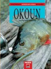 Okoun - pruhovaný bandita
