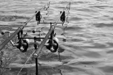 Hrazda na 2 pruty - 2 Rod Buzzer Bars (Fixed)