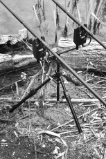 Specialist tripod