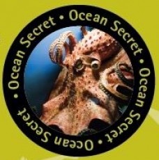 Mražené boilies - OCEAN SECRET
