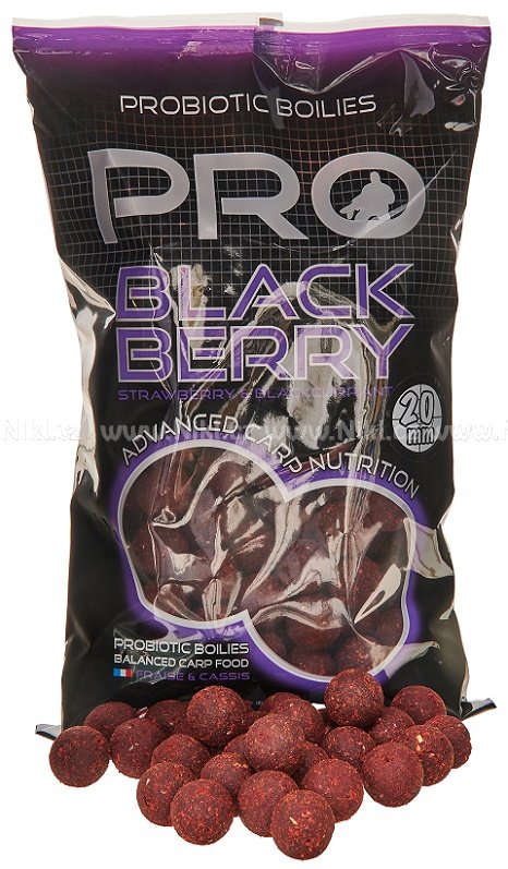 Starbaits Boilies Probiotic Blackberry 1kg