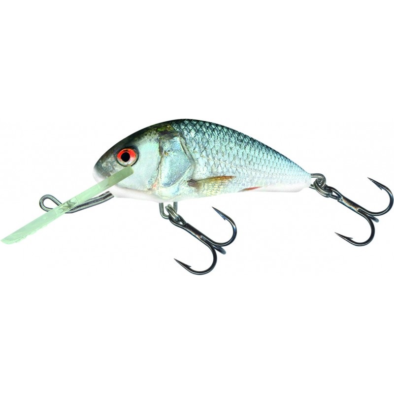 Wobbler Hornet 6F - Real dace