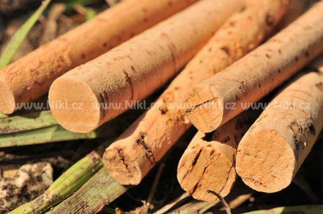 Korda vrtáček + korek - Bait Drill