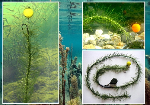 Katran Měkká návazcová šňůrka Mimicker Hook Ling Algae 10m
