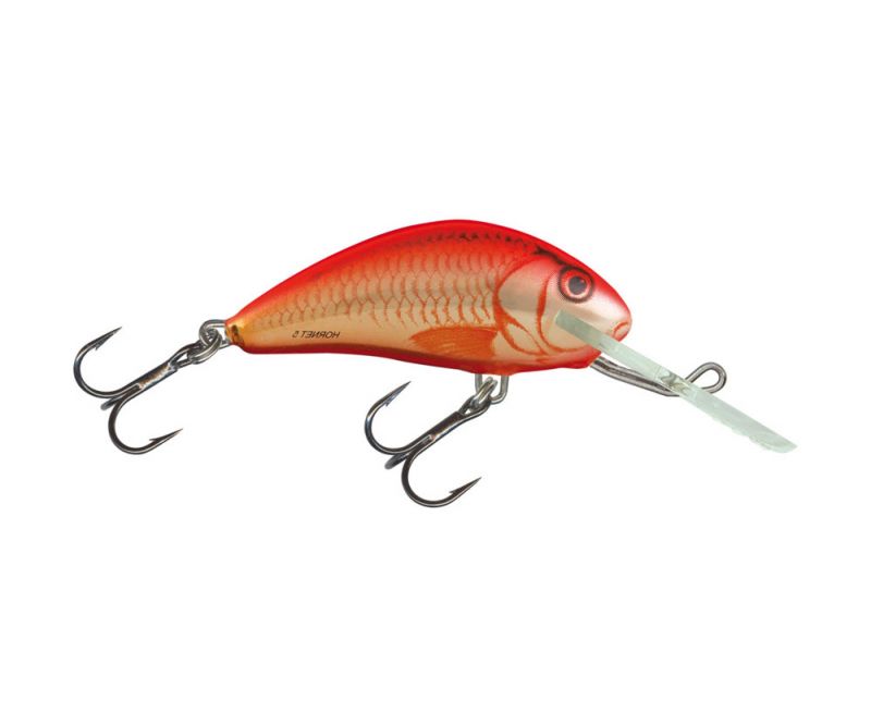 Salmo Wobler - Hornet 6S Orange Crush