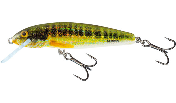 Salmo Wobler - Minnow 7S Holo Real Minnow