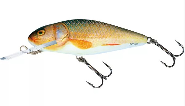 Salmo Wobler - Perch 12F Real Roach