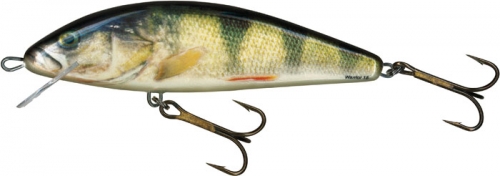 Salmo Wobler - Warrior Crank 15F Real Perch