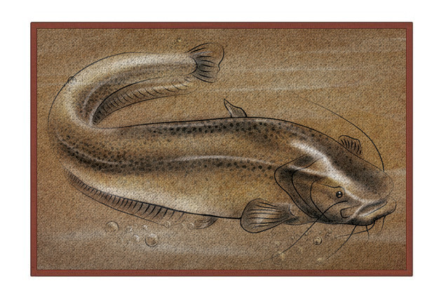 Delphin Rohožka RETRO 60x40 cm "Sumec"