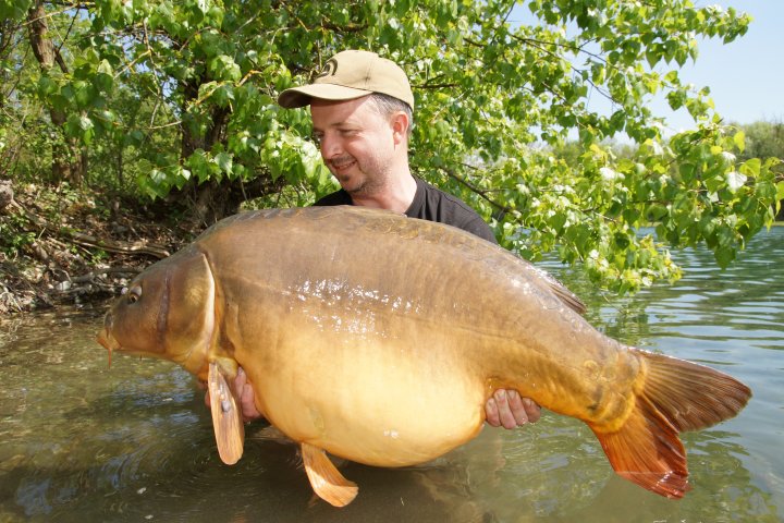 Vlado Žubor
