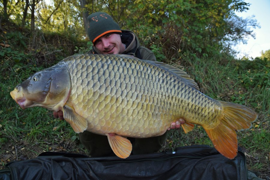Carpkillerova podzimní sklizeň