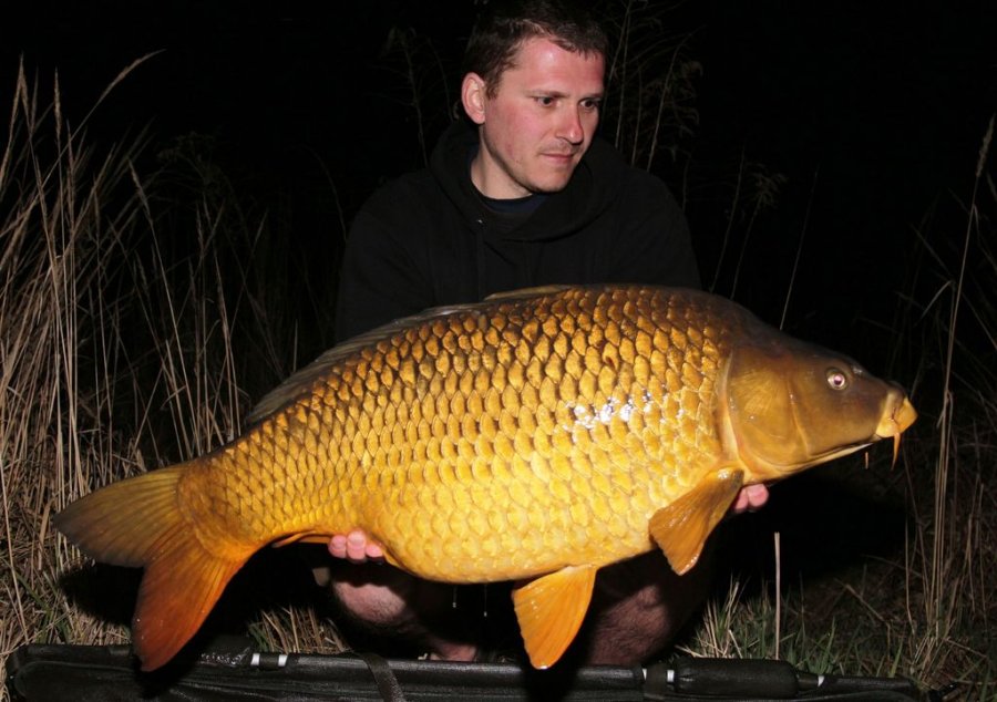 Jarní snažení