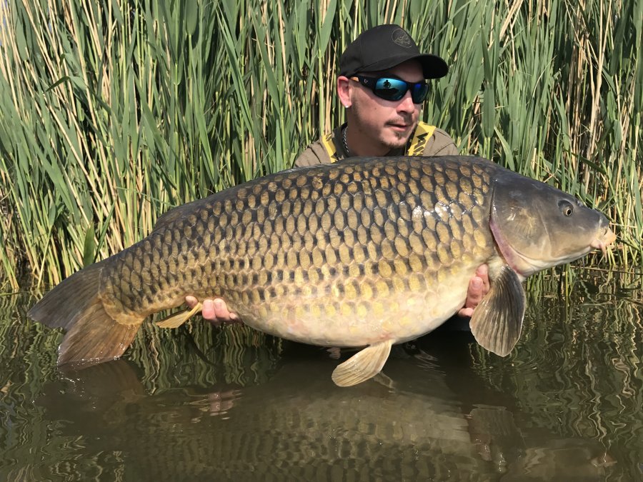 Carpkiller s Extasy!