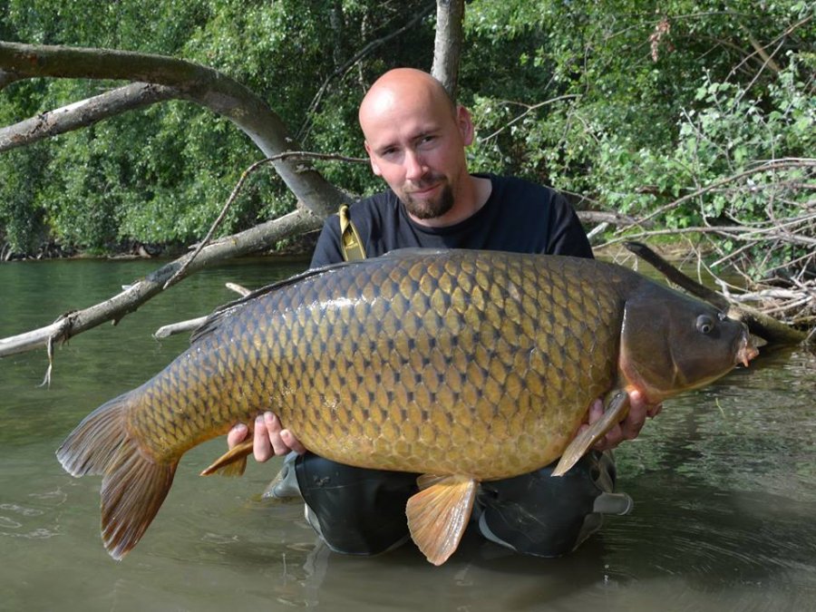 2x24mm Gigantica