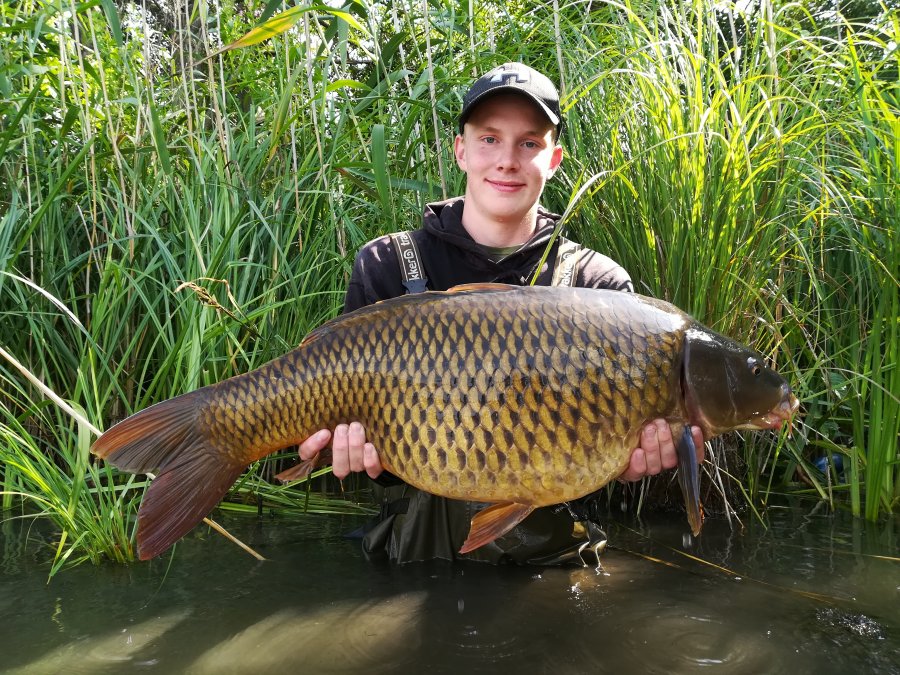 Devill krill úřaduje 1.část